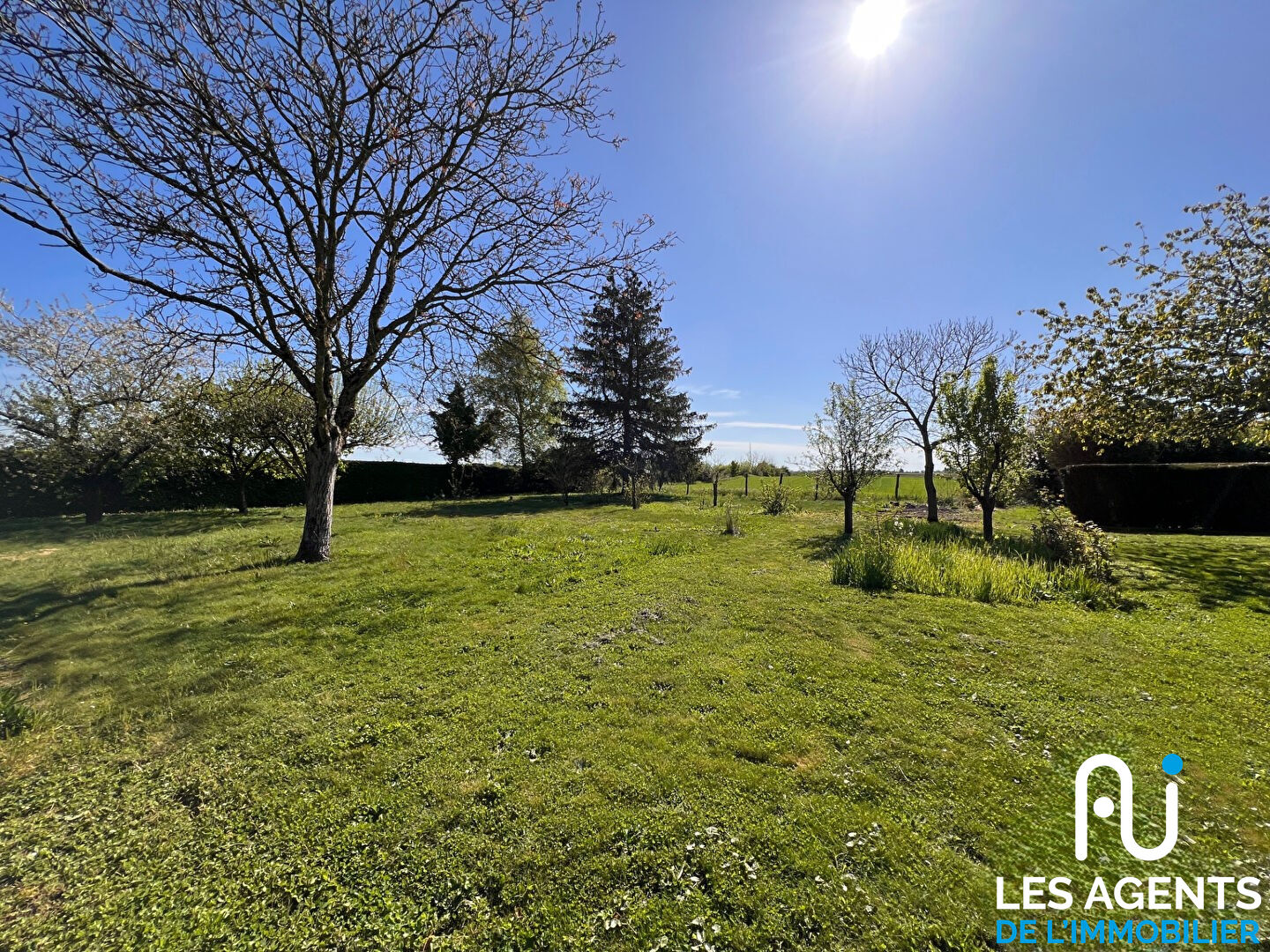 Photo Terrain Charsonville 1951 m2 image 2/5