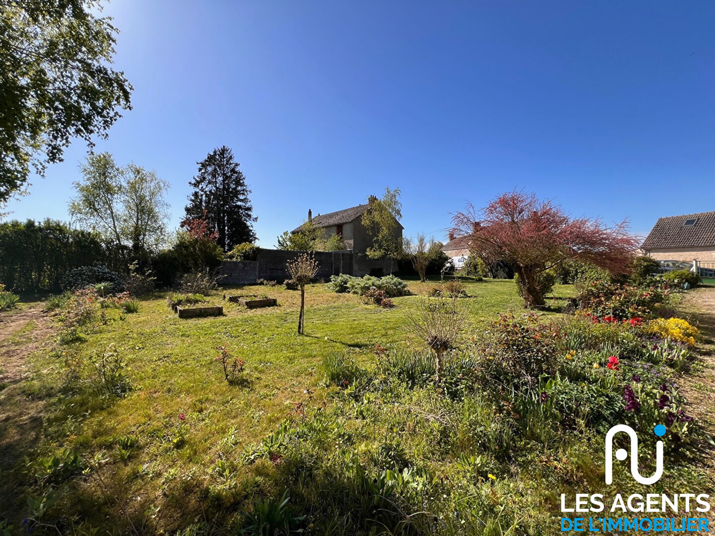 Photo Terrain Charsonville 1951 m2 image 4/5