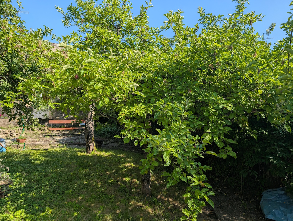 Belle Maison de 220 m2 rénovée en 2018