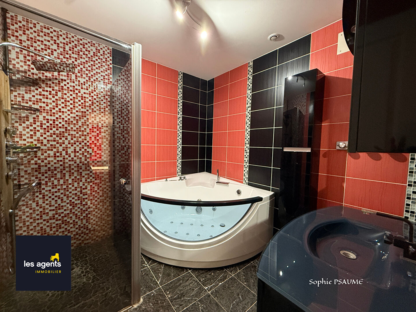 Maison  270 m2 TAILLANCOURT