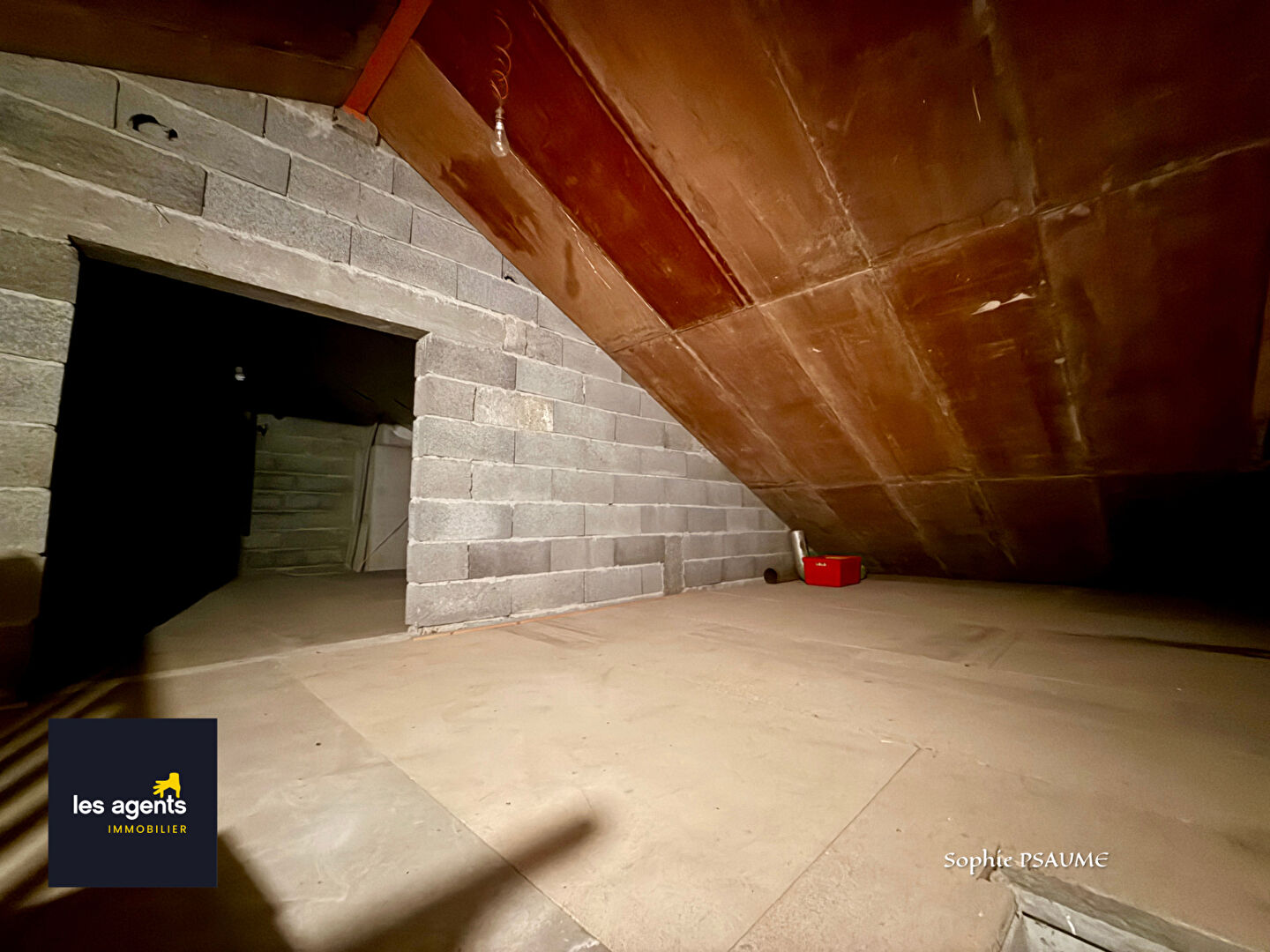 Maison Vitrey 9 pièce(s) 185 m2