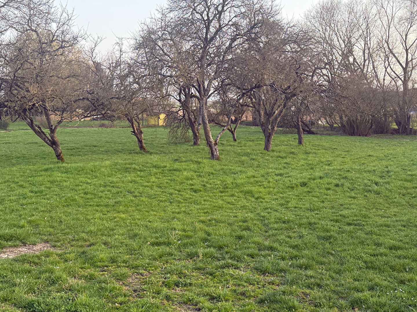 Terrain Goviller 1054 m2