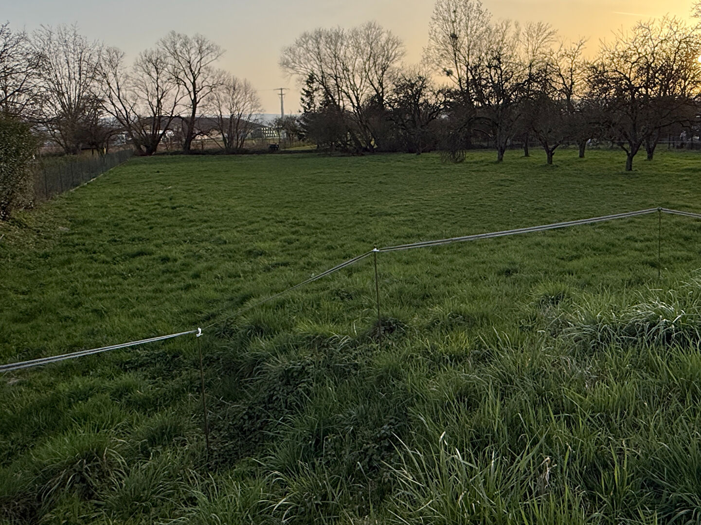 Terrain Goviller 1054 m2