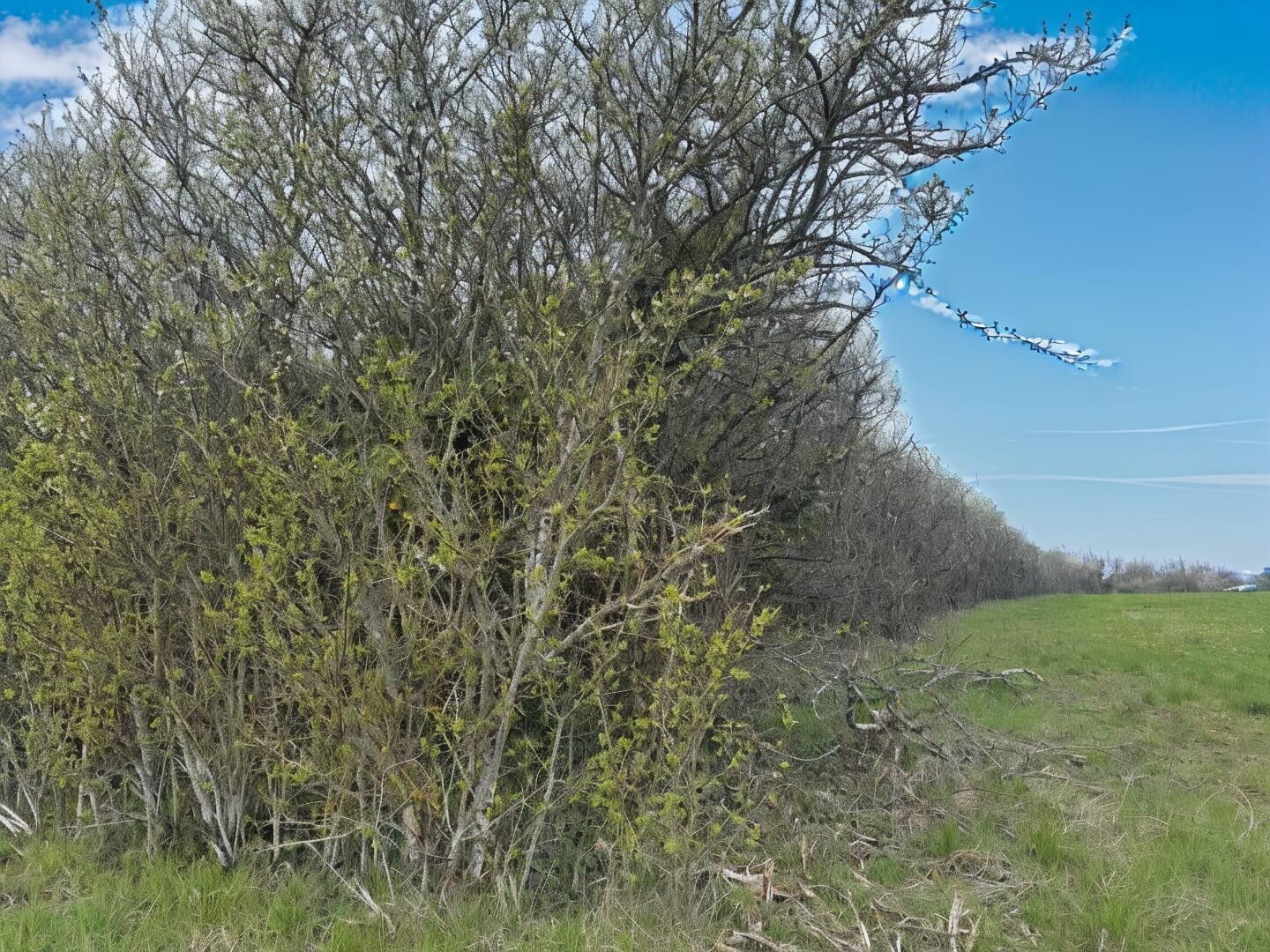 Terrain divers 2400 m2