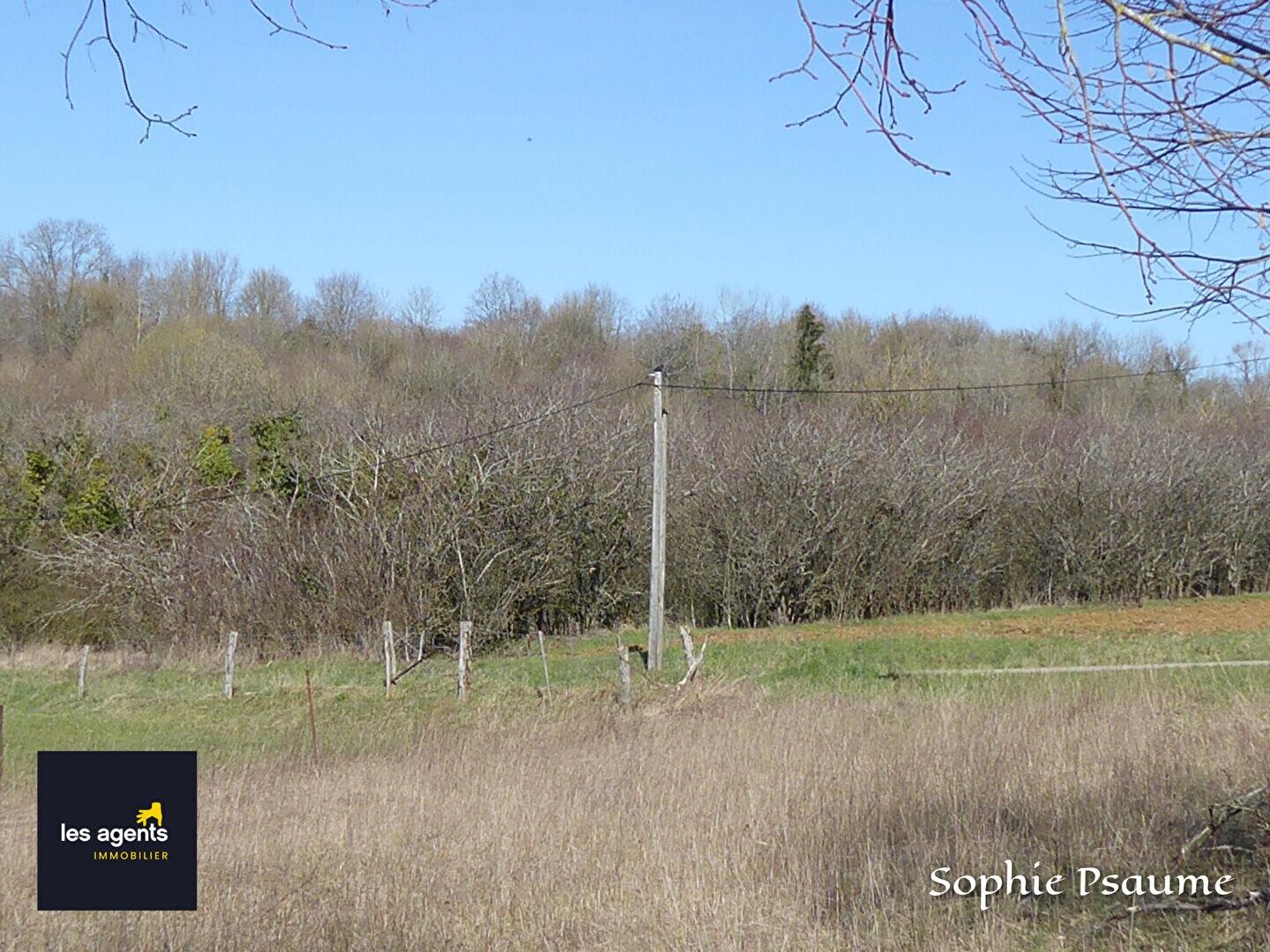 Terrain divers 2400 m2