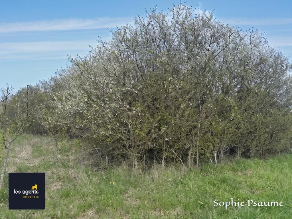 Terrain divers 2400 m2