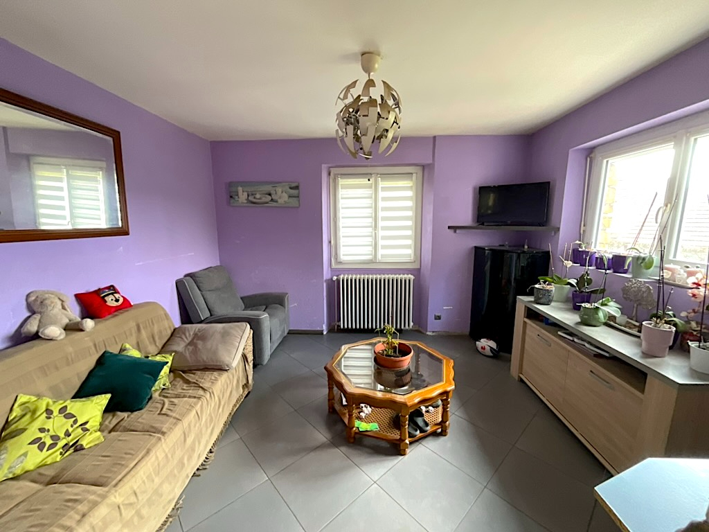 Pavillon Aillevillers Et Lyaumont 5 pièces 146m2 habitables 1038m2 terrain