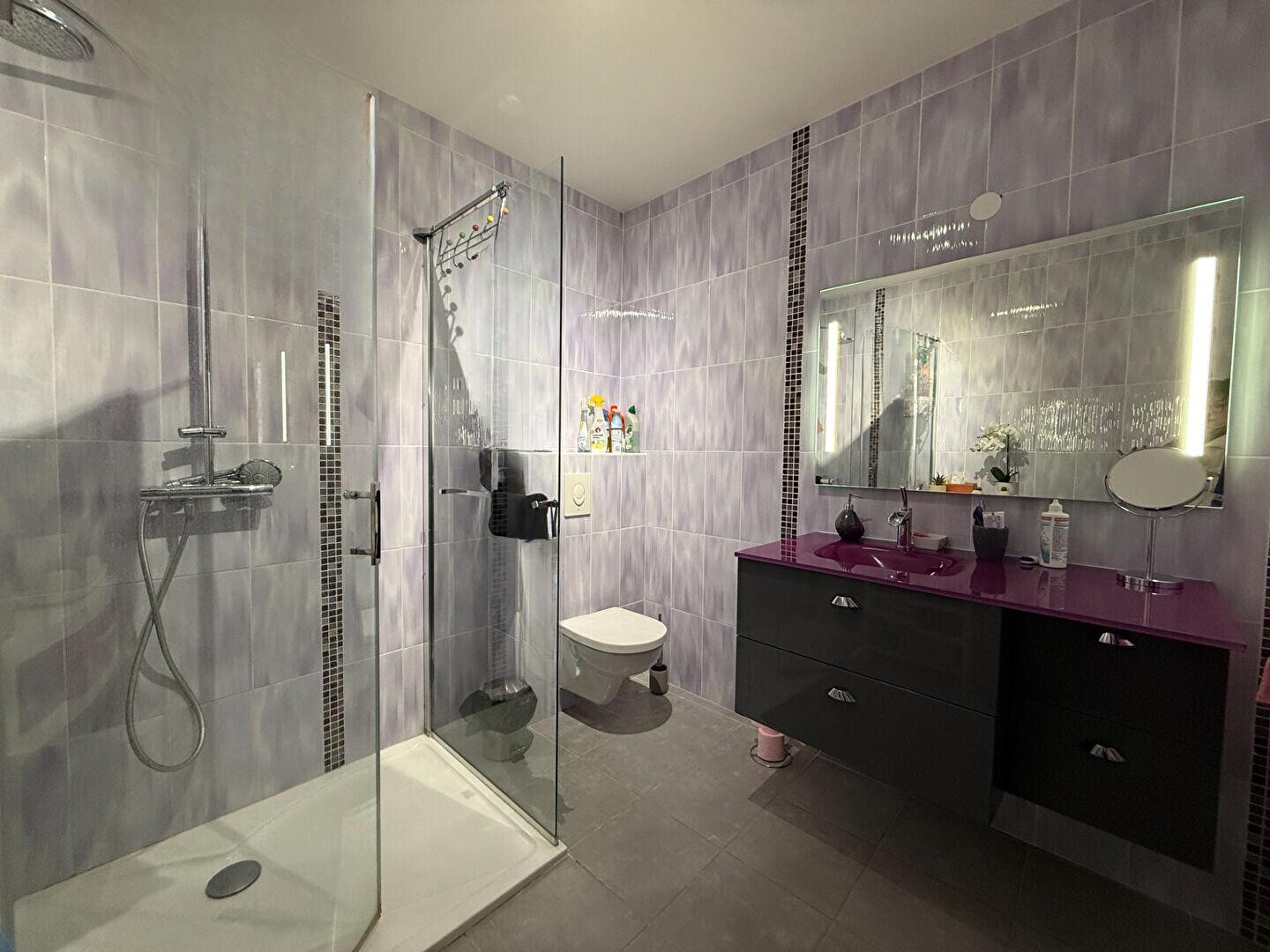 Maison Saulxures Les Vannes 7 pièces 190  m2