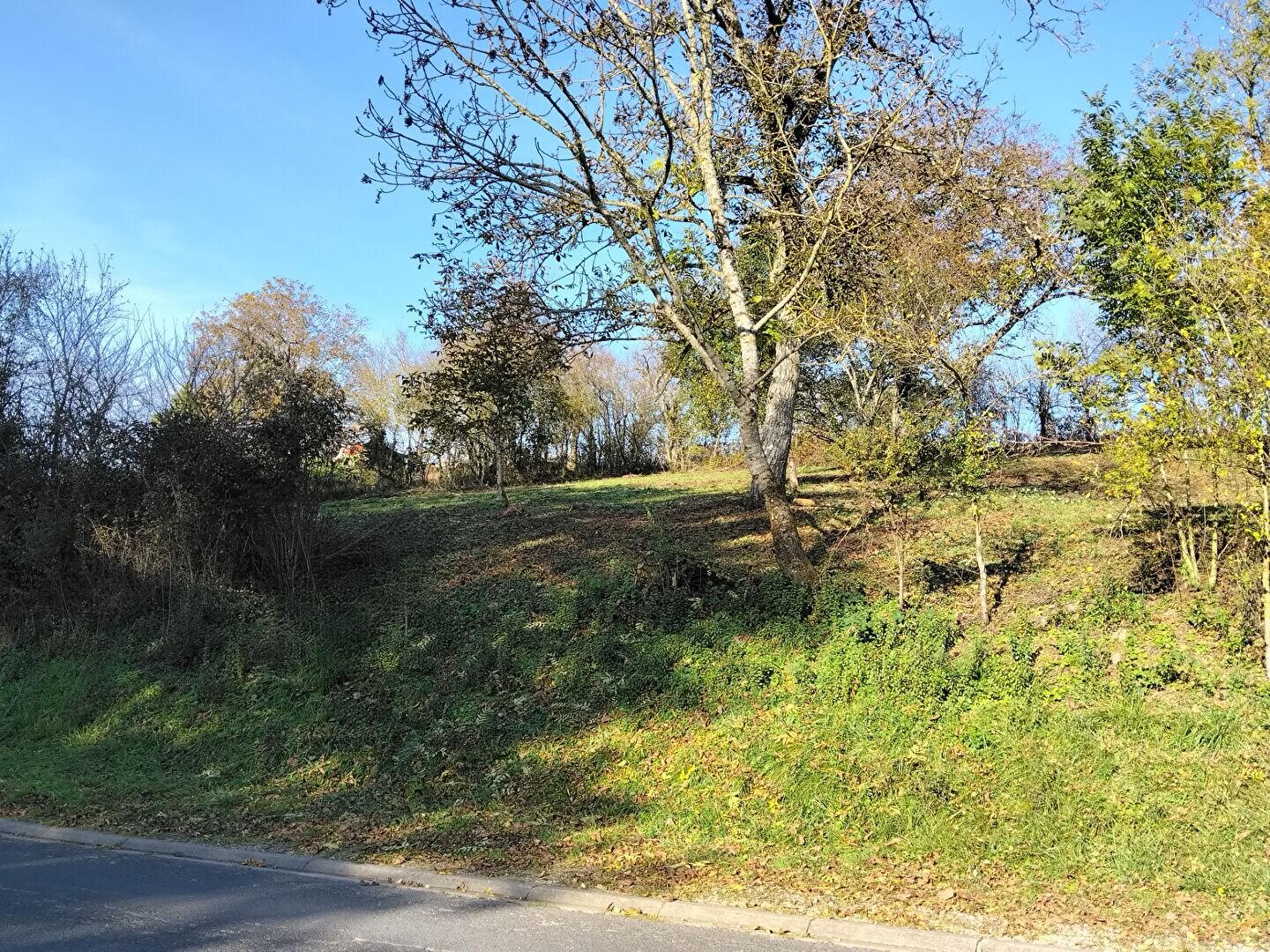 Terrain Vandeleville 1544 m2
