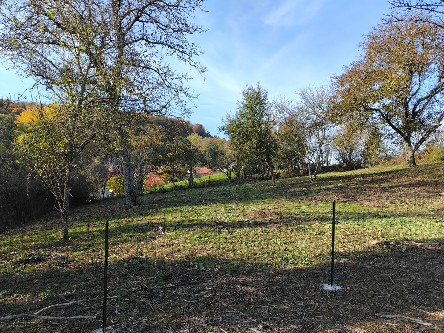 Terrain Vandeleville 1544 m2