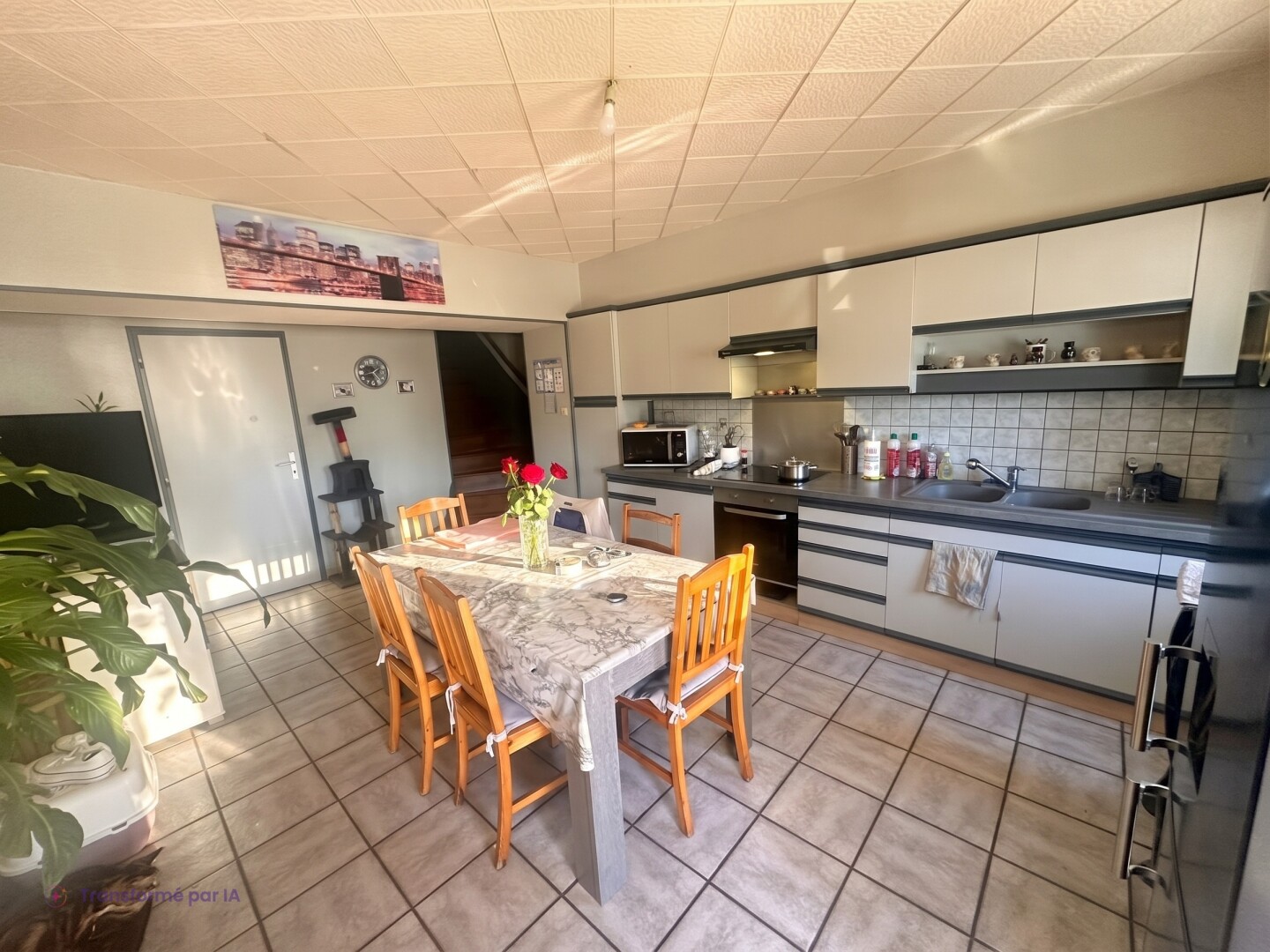 Maison Aillevillers Et Lyaumont 3 pièces 110m2 habitables + local commercial