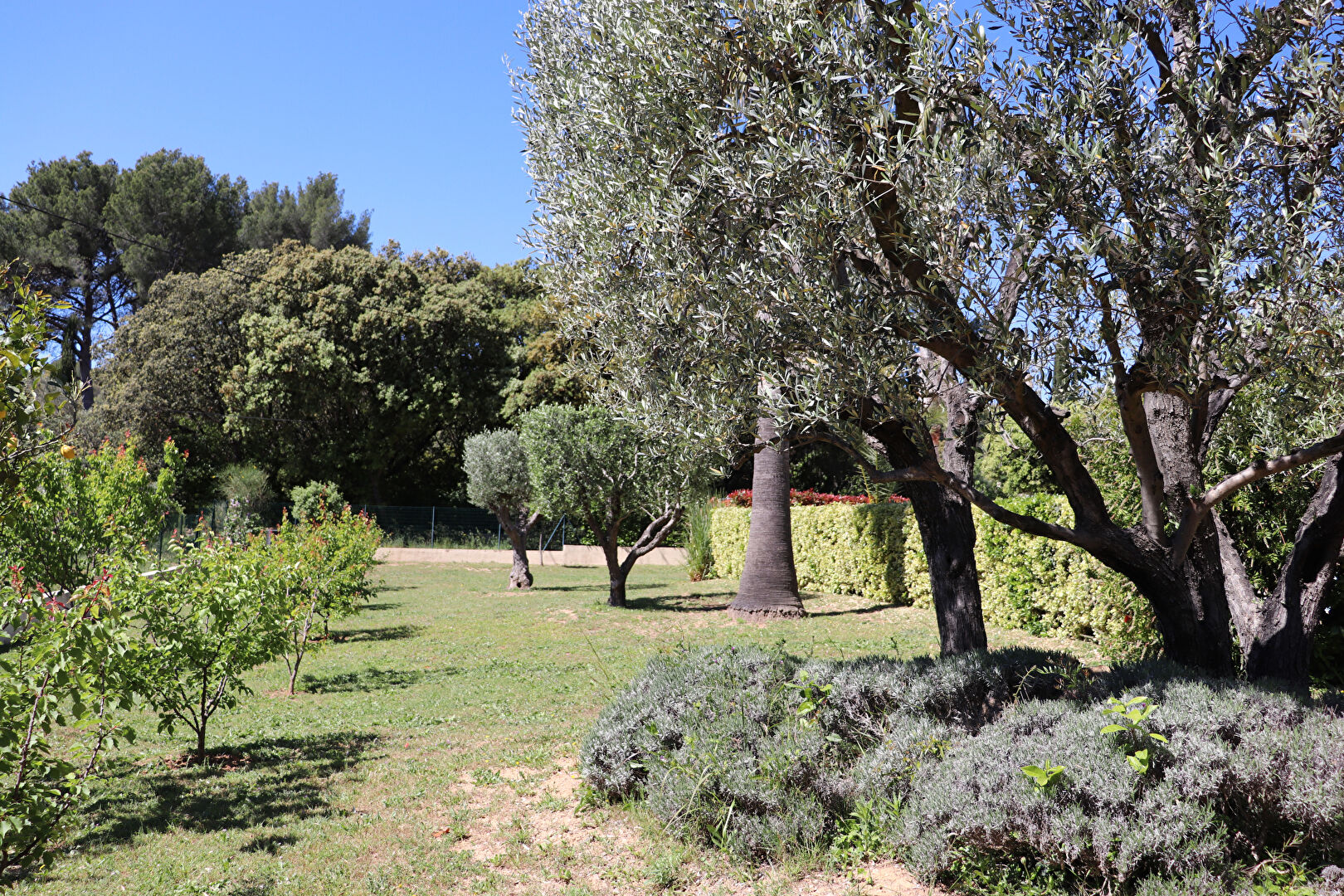 Photo Maison La Cadiere D Azur 6 pièce(s) 140m2 image 5/6