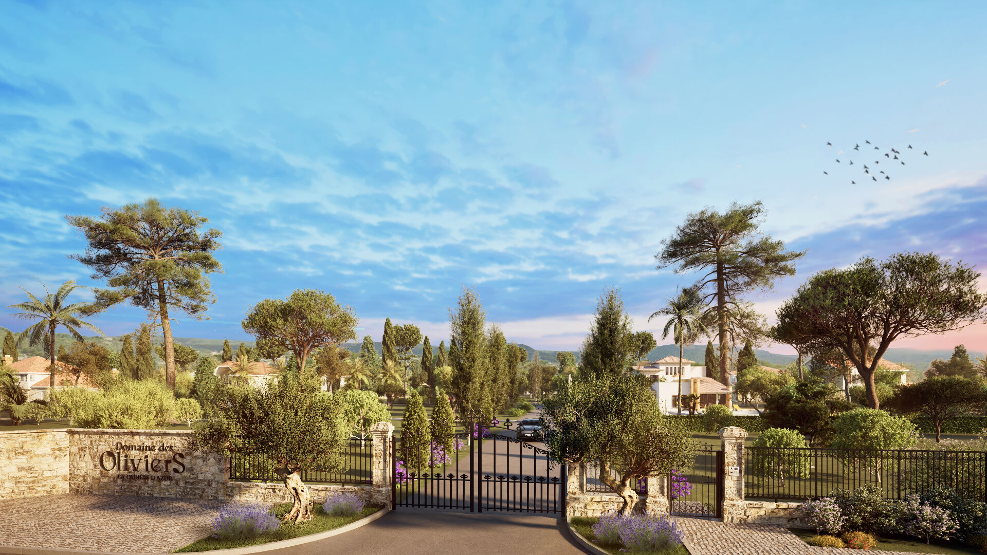 Photo Terrain La Cadiere D Azur 2000 m2 image 2/3