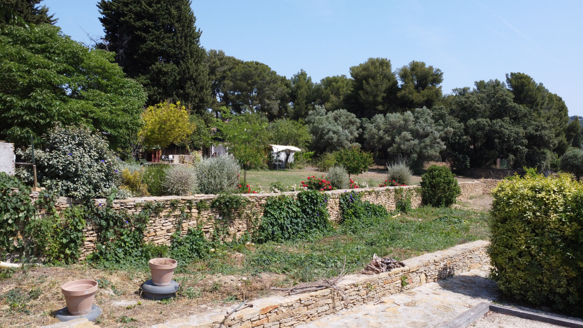 Photo PROPRIETE LA CADIERE D'AZUR image 3/6