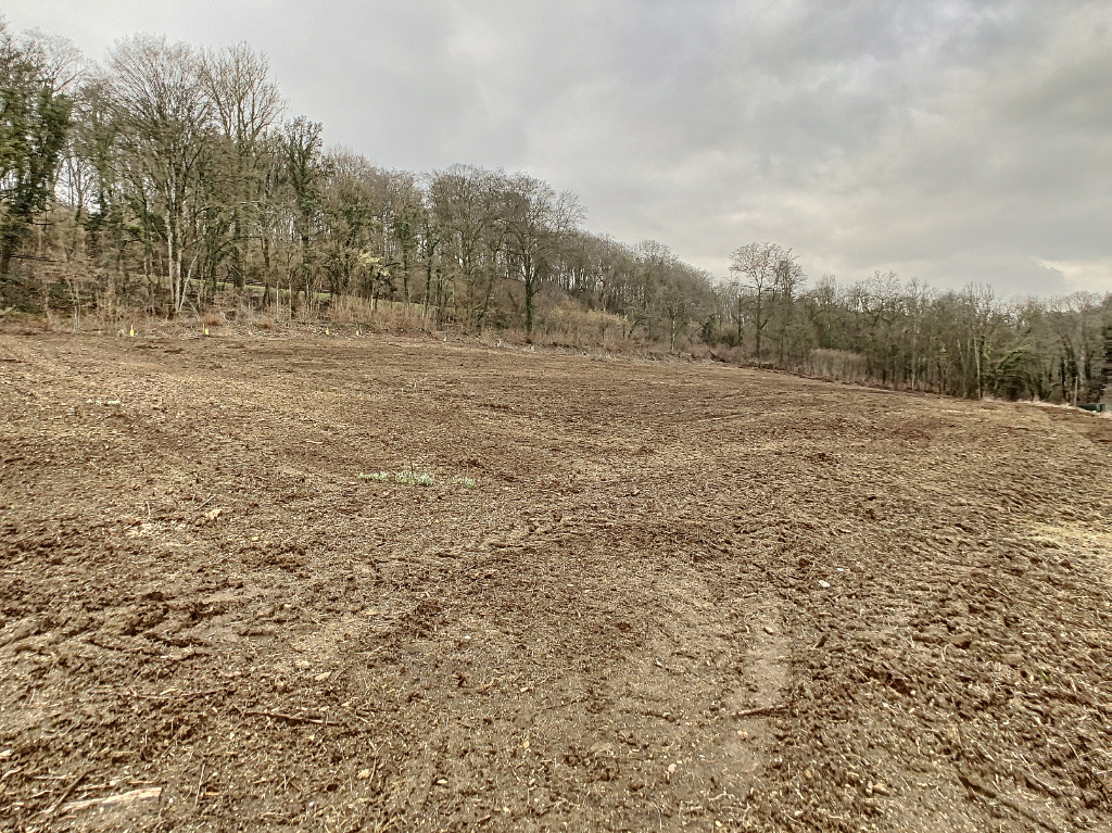 Photo Terrain Longuyon 1342 M2 m2 image 2/3