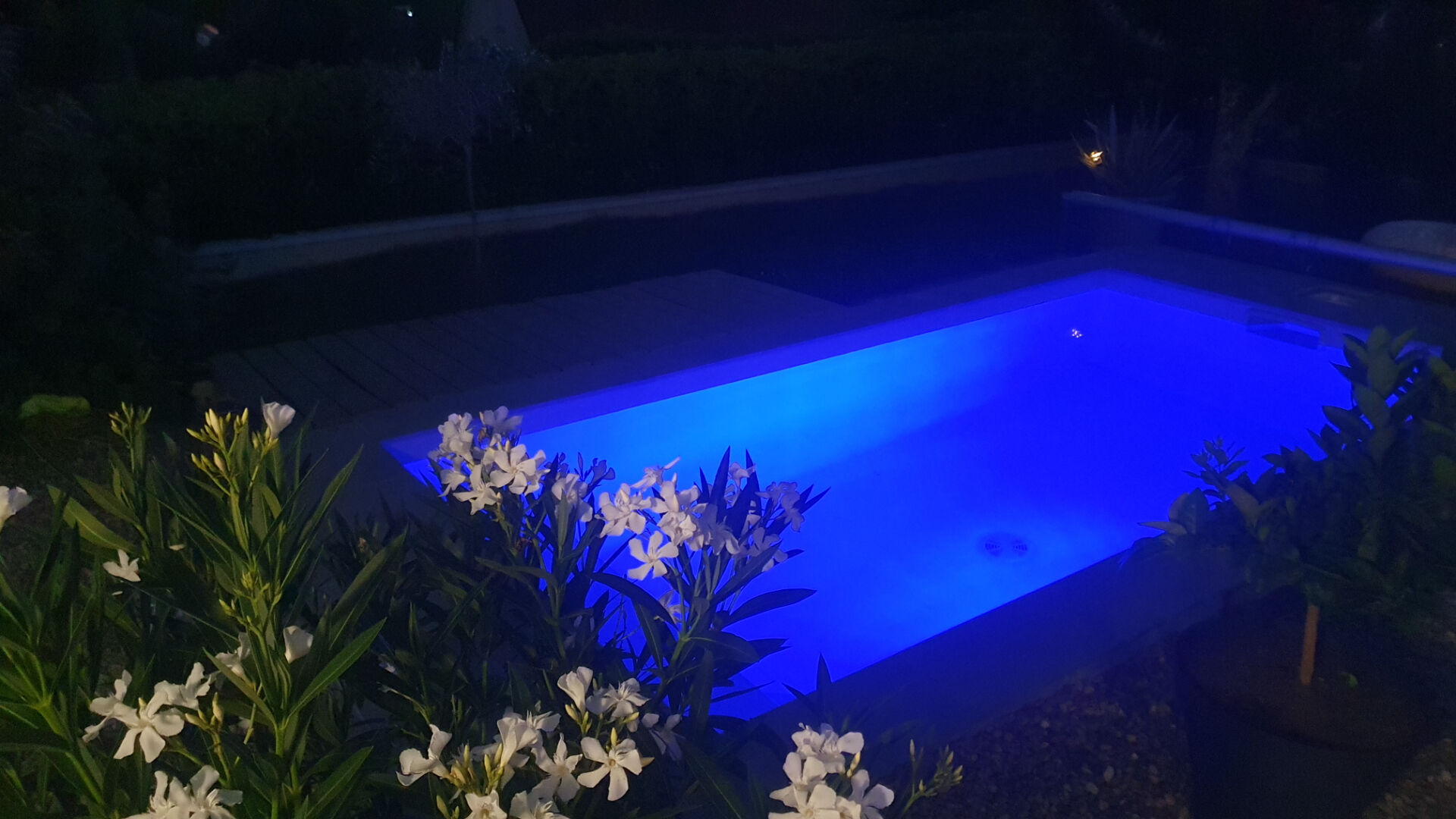 Photo Pirey image 3/6