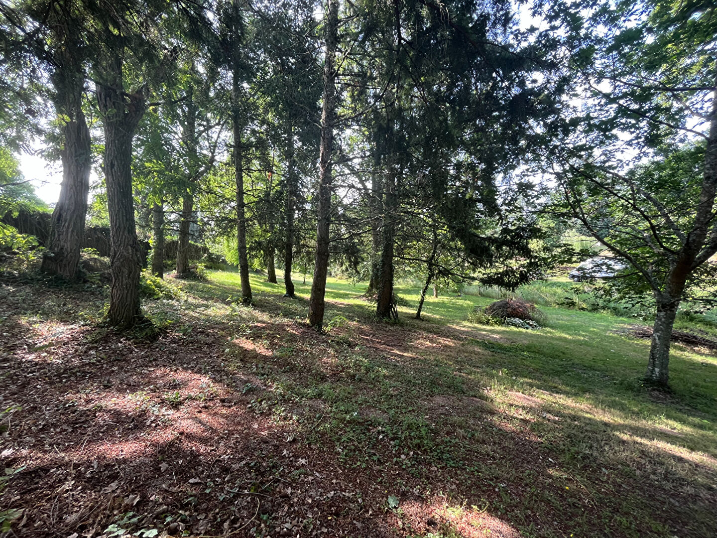 Photo TERRAIN A BATIR BRINON SUR SAULDRE - 2800 m2 image 2/6