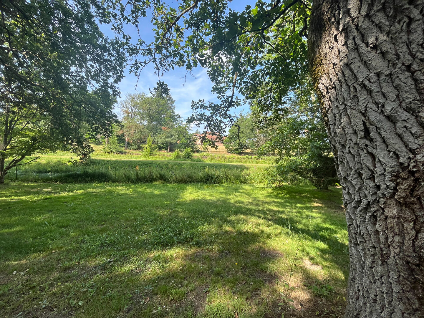 Photo TERRAIN A BATIR BRINON SUR SAULDRE - 2800 m2 image 3/6