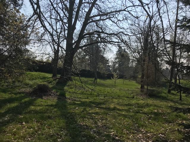 Photo TERRAIN A BATIR BRINON SUR SAULDRE - 2800 m2 image 5/6