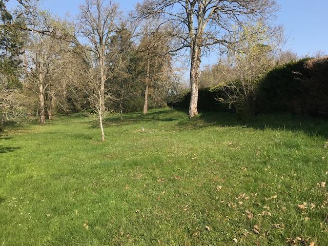 Photo TERRAIN A BATIR BRINON SUR SAULDRE - 2800 m2 image 6/6