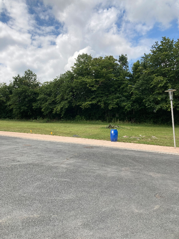 Photo NORD EST BERRY image 3/3