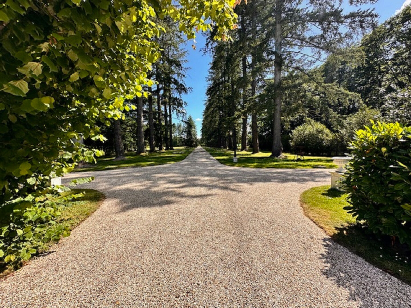 Photo Propriété d'exception en Sologne - Sainte-Montaine image 5/6