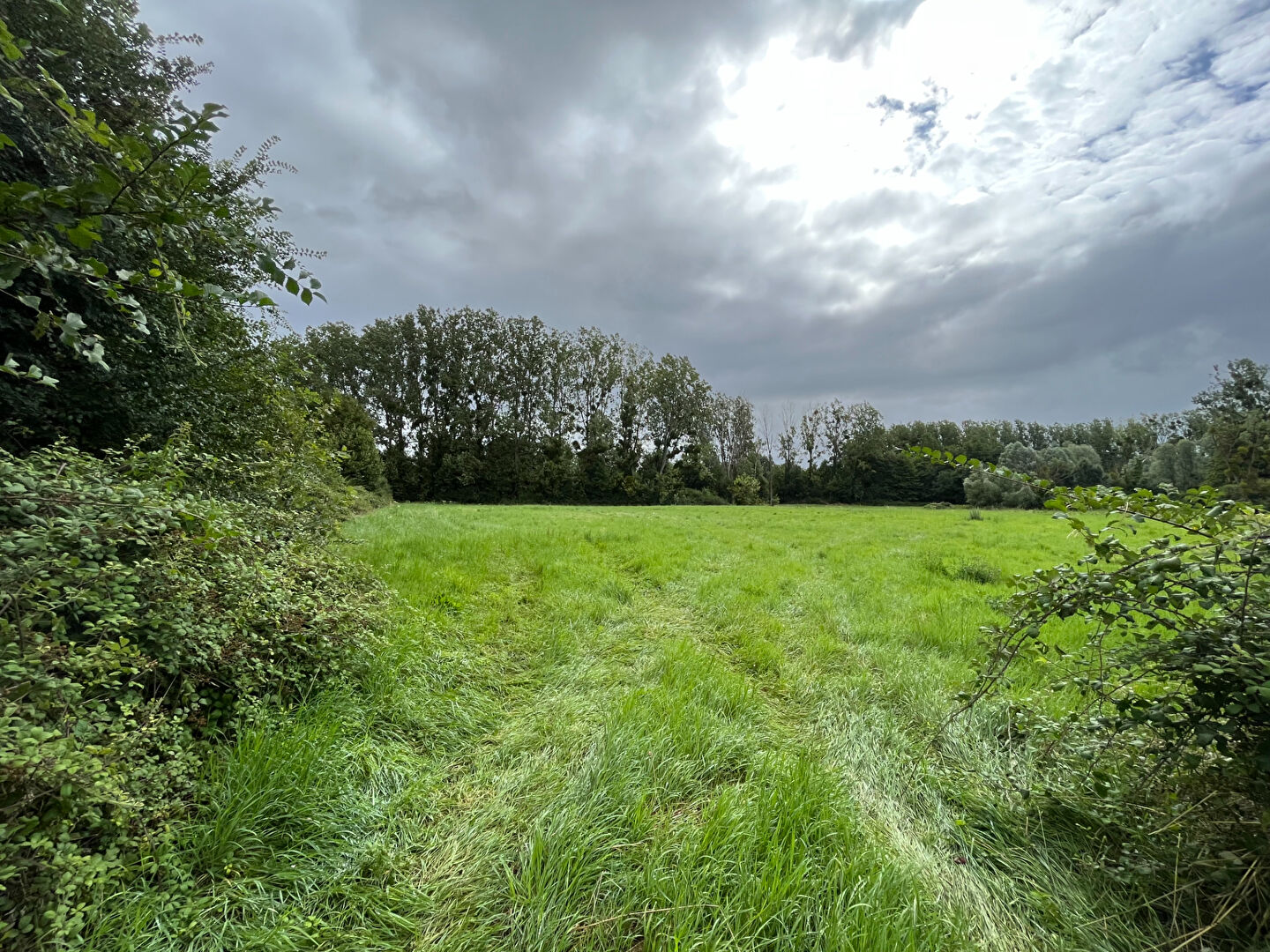 Photo Terrain Blancafort 2200 m2 image 3/3