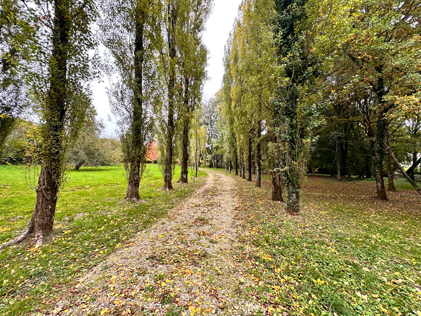 Photo Maison La Chapelotte 203.81 m2 image 4/6