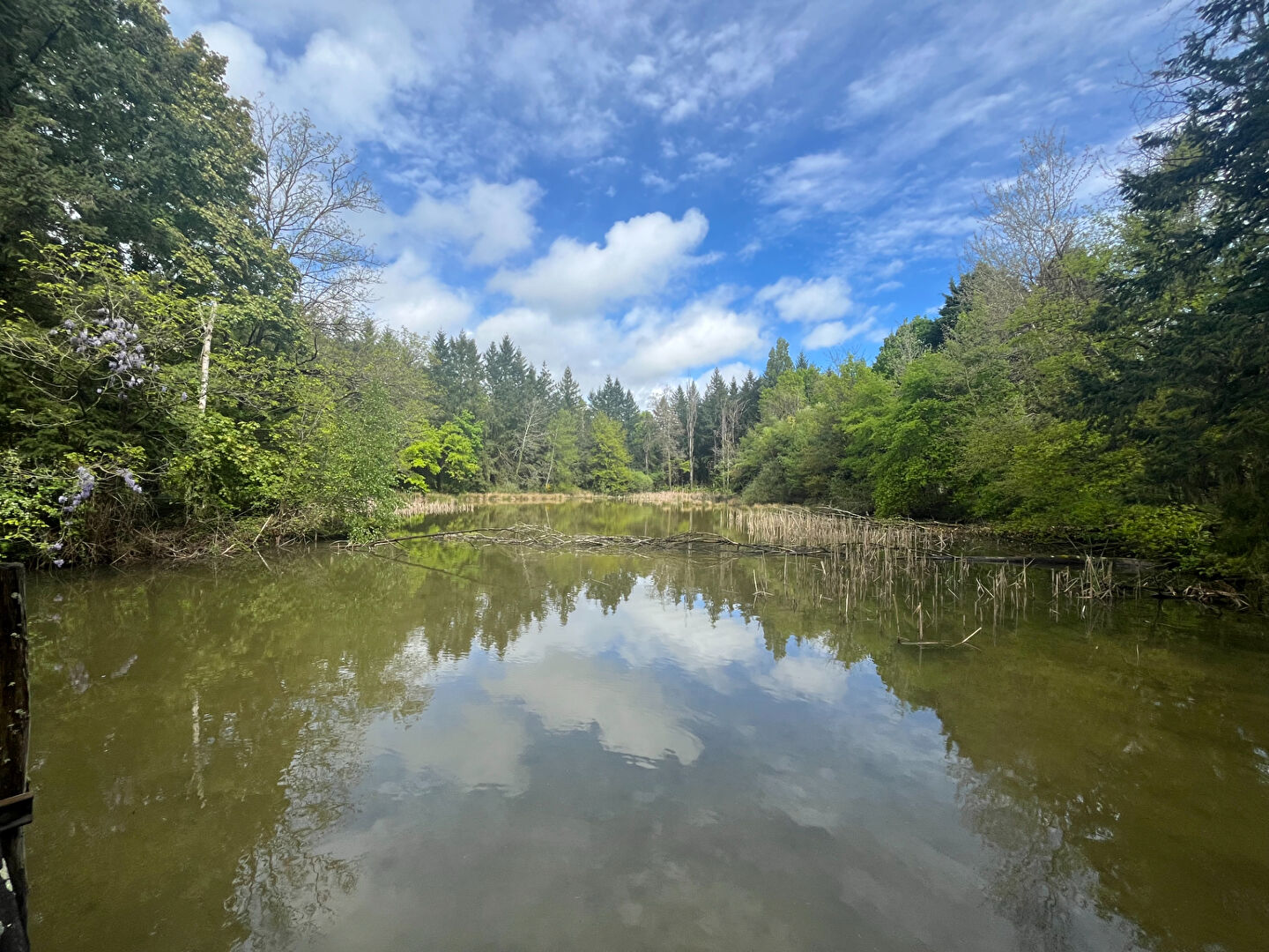 Terrain de loisirs Coullons 40 m2