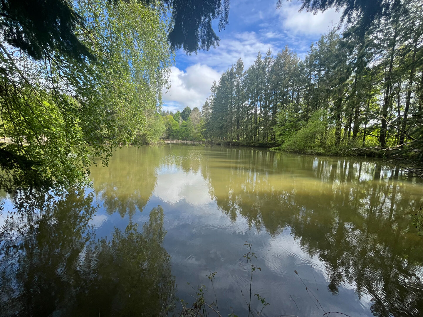 Photo Terrain de loisirs Coullons 40 m2 image 2/6