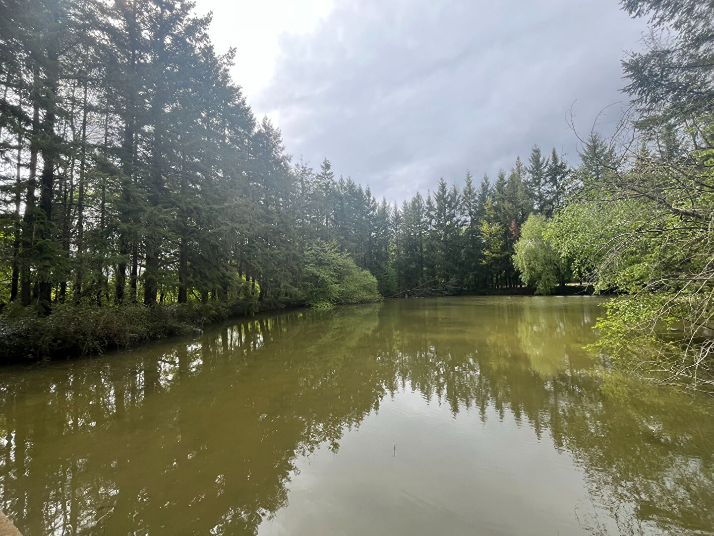 Photo Terrain de loisirs Coullons 40 m2 image 3/6