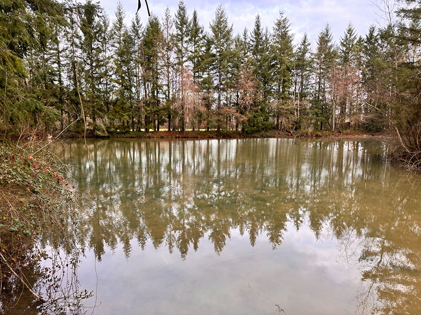 Photo Terrain de loisirs Coullons 40 m2 image 3/6