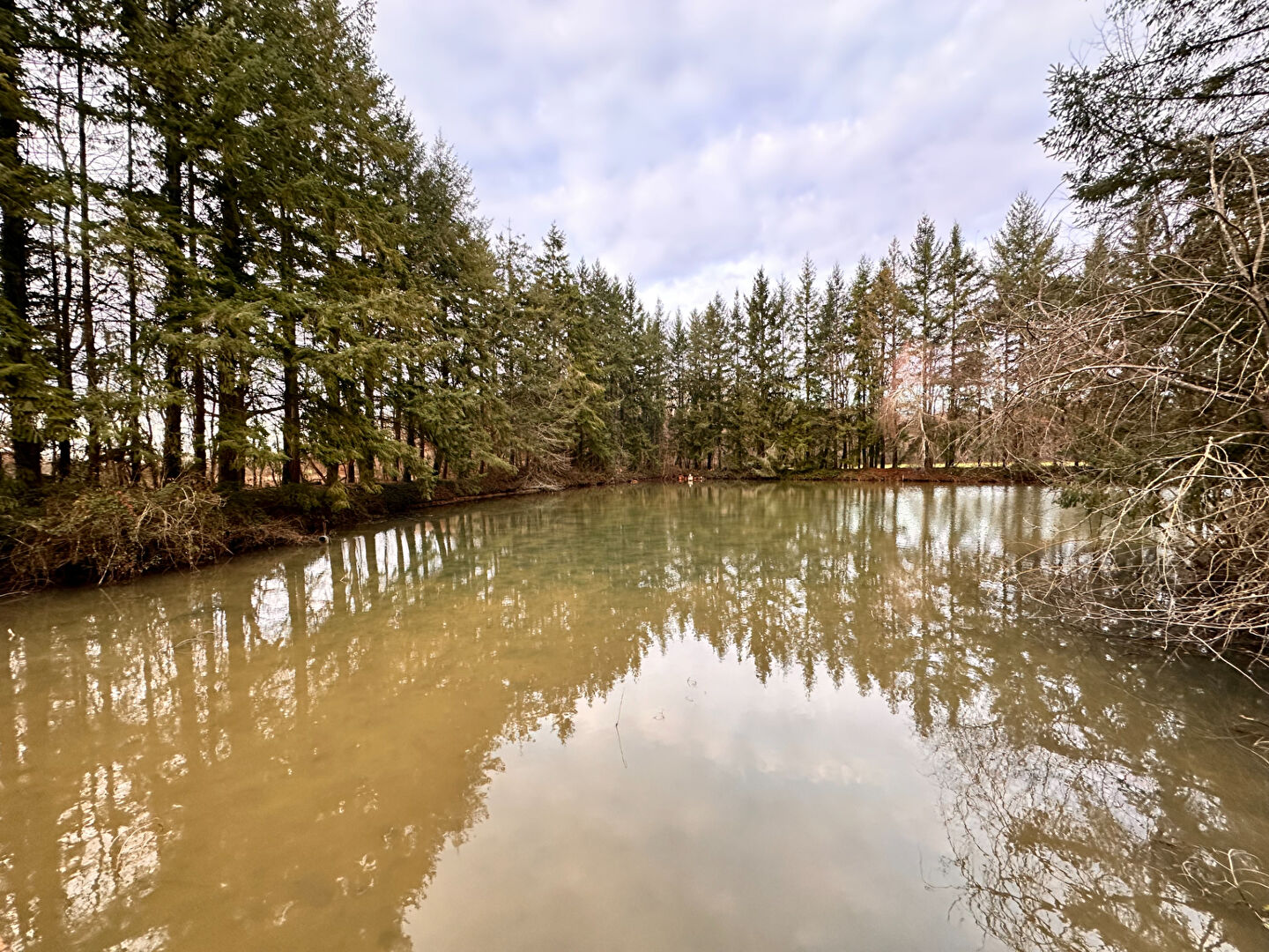 Photo Terrain de loisirs Coullons 40 m2 image 4/6