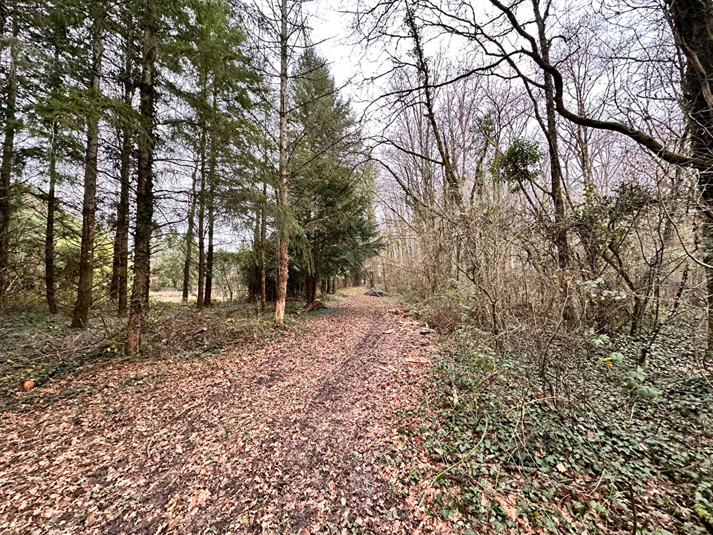 Photo Terrain de loisirs Coullons 40 m2 image 5/6