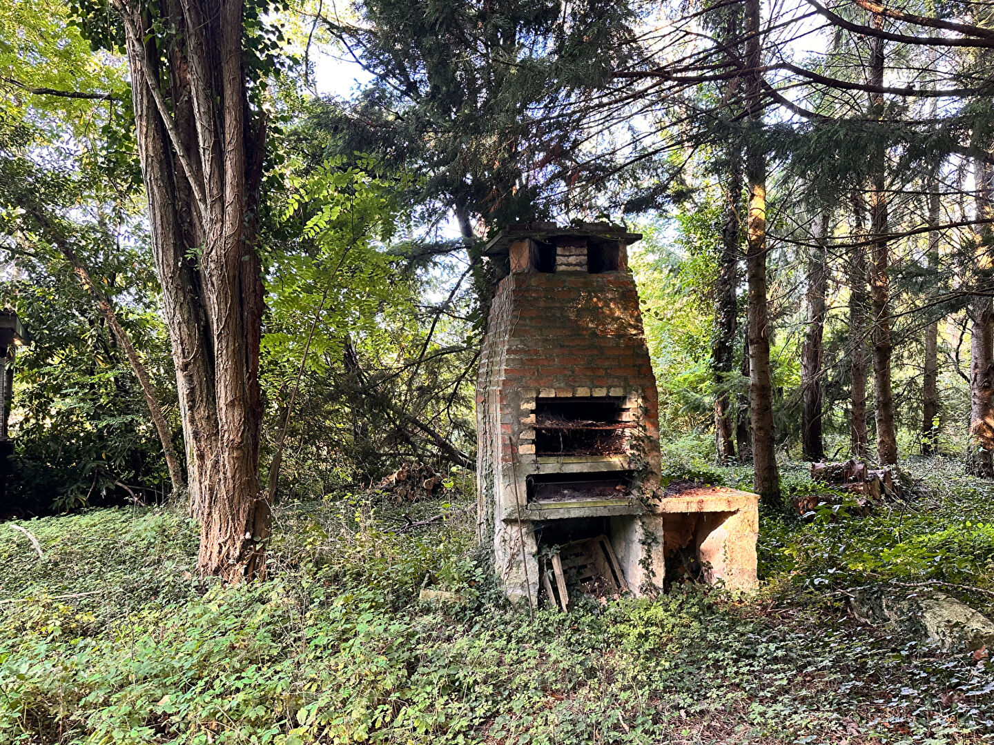 Photo Terrain de loisirs Coullons 40 m2 image 6/6