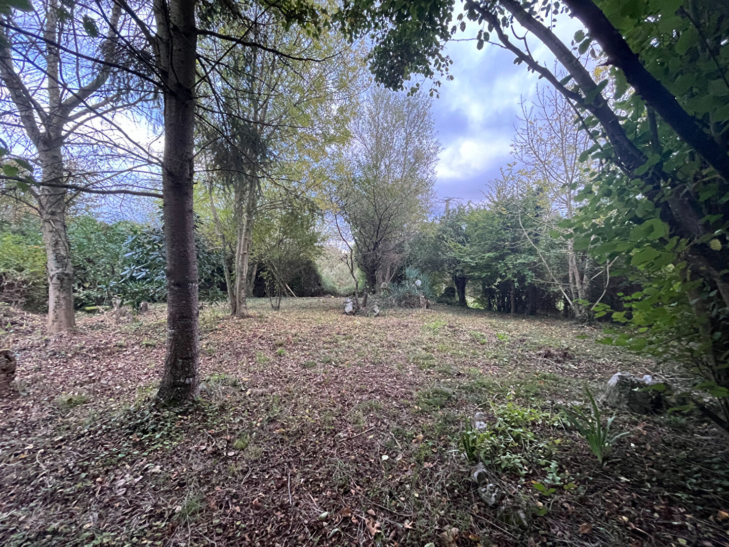 Photo Terrain Barlieu image 3/6