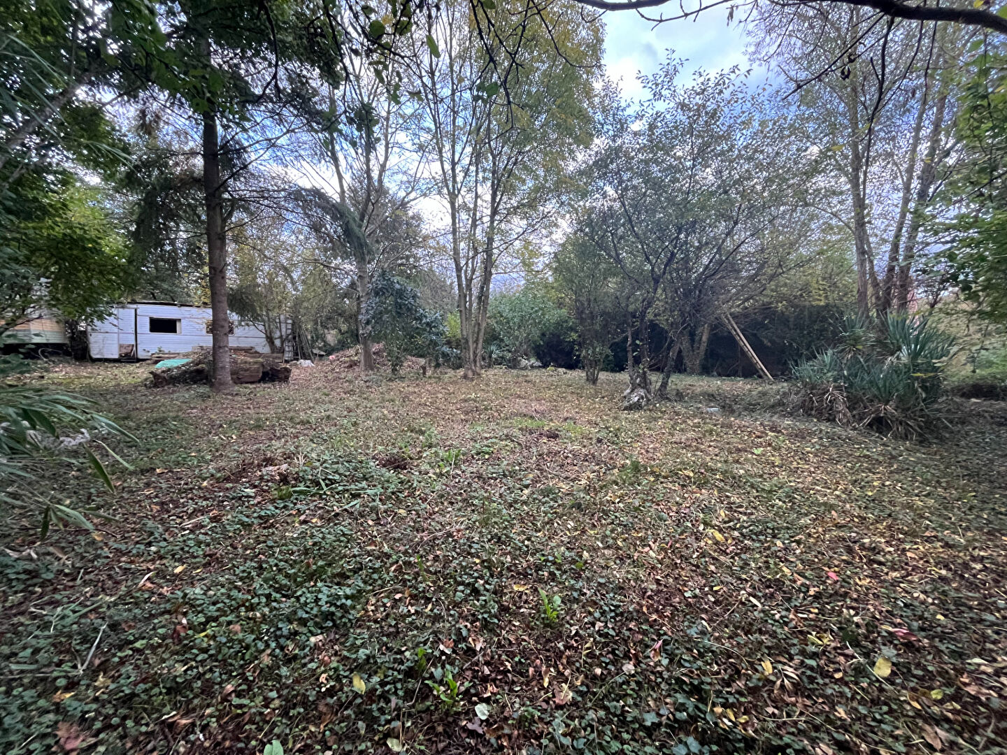 Photo Terrain Barlieu image 4/6