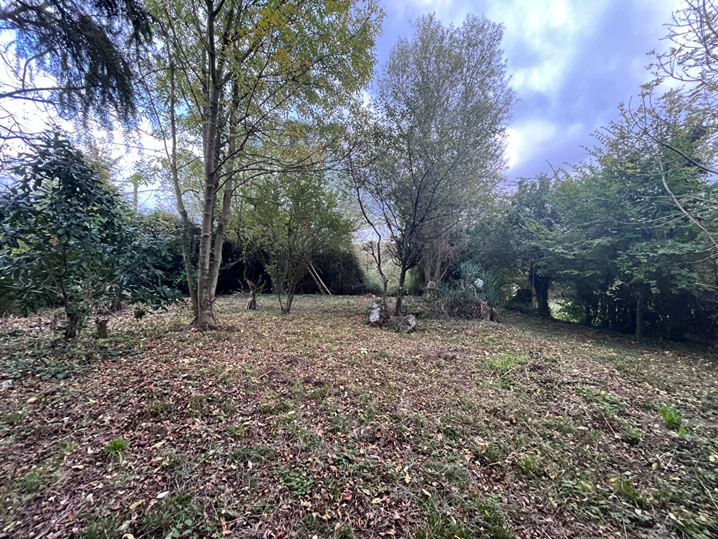 Photo Terrain Barlieu image 6/6