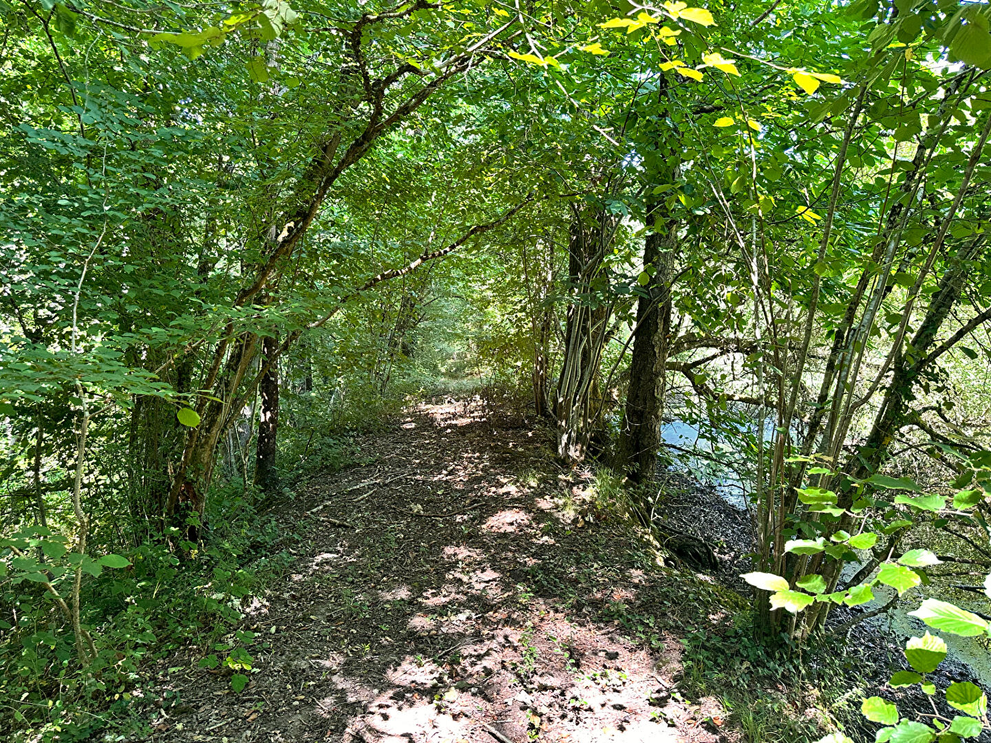 Photo Maison Cerdon 6 pièce(s) 220 m2 image 6/6