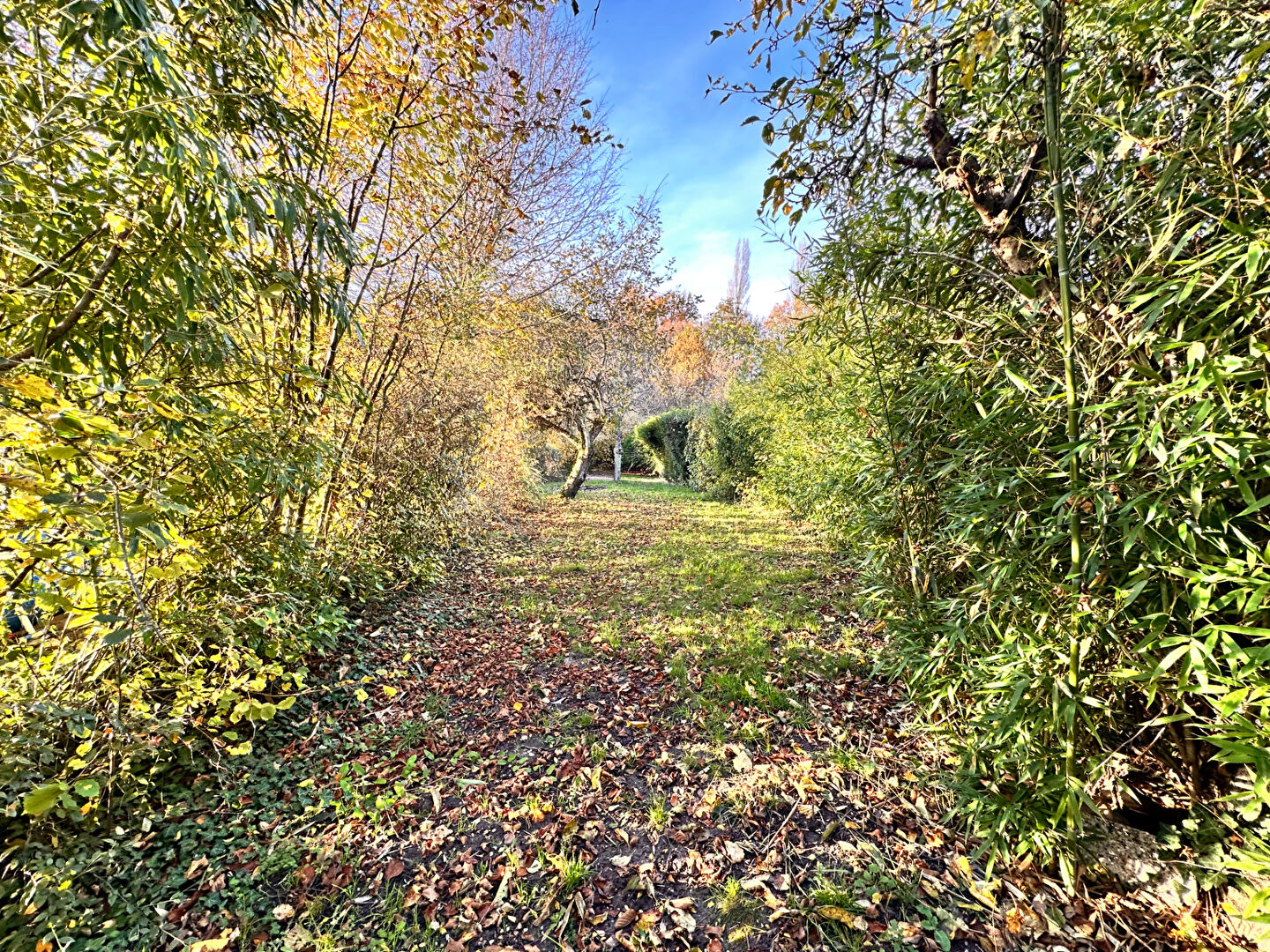 Photo Maison Clemont image 4/6