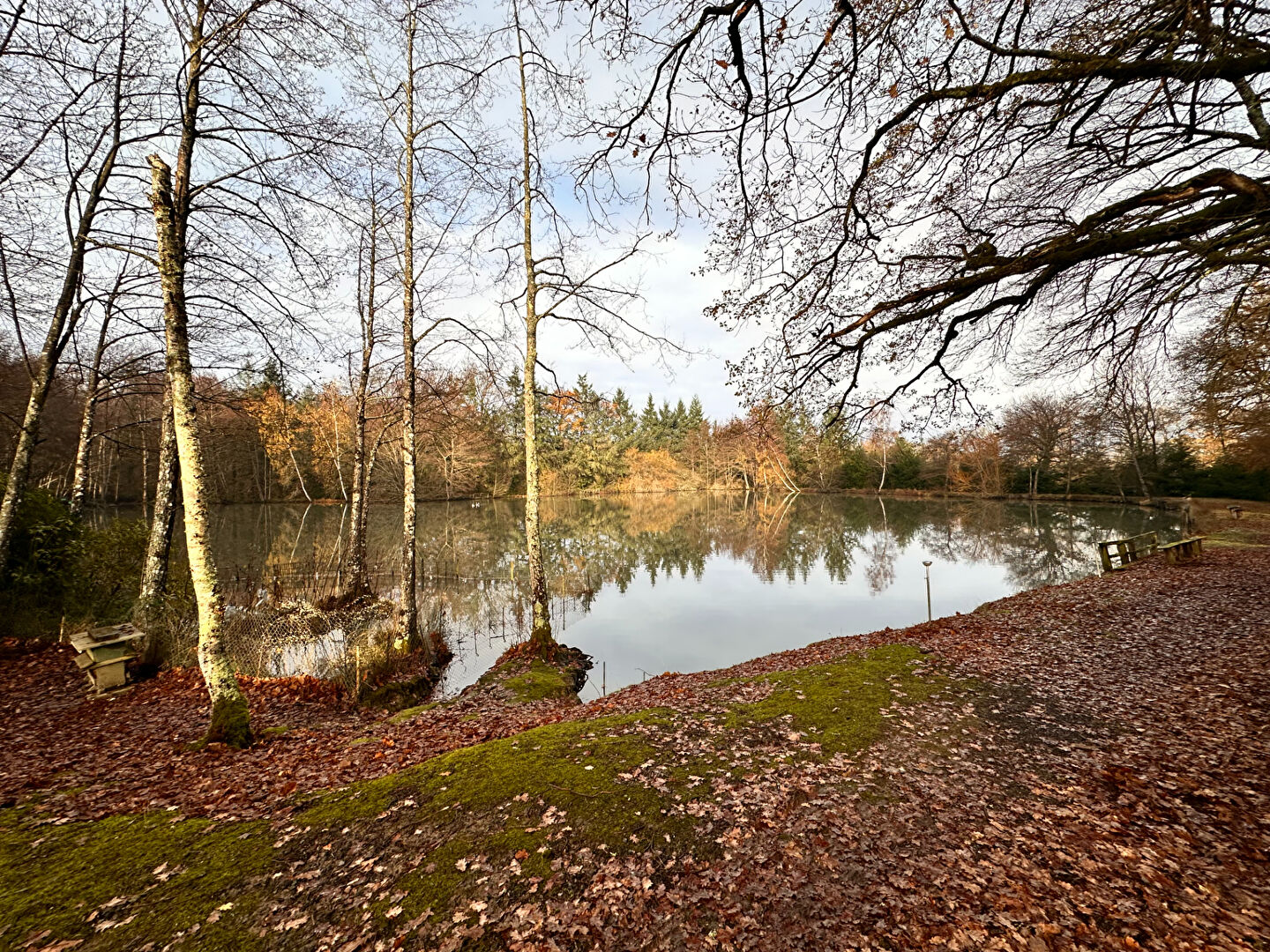 Agence immobilière de LE VILLAGE IMMOBILIER - LE VILLAGE IMMOBILIER Aubigny-