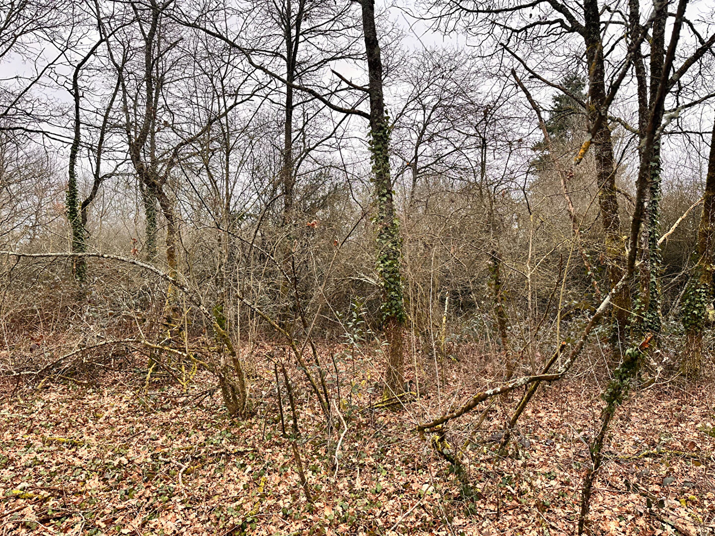 Agence immobilière de LE VILLAGE IMMOBILIER - LE VILLAGE IMMOBILIER Aubigny-