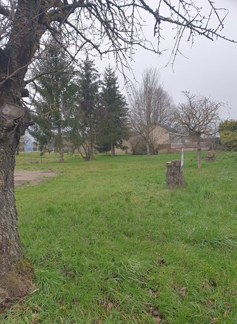 Terrain à bâtir, 1000m²