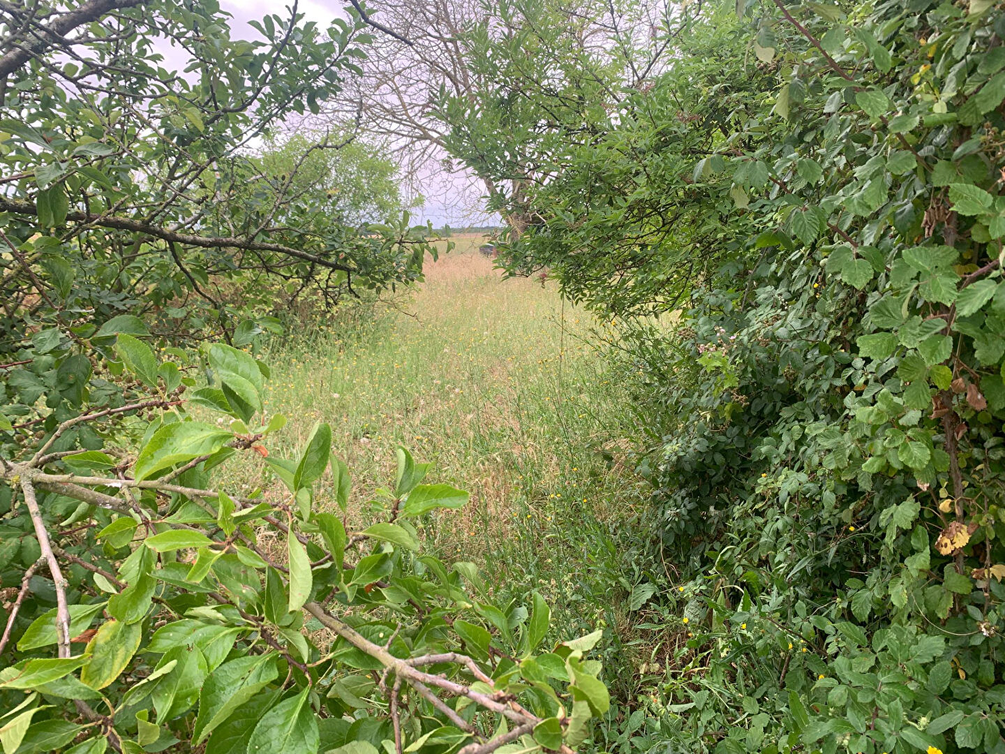 Photo Longère à rénover image 3/6