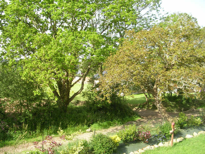 Photo STUDIO MEUBLE image 5/5