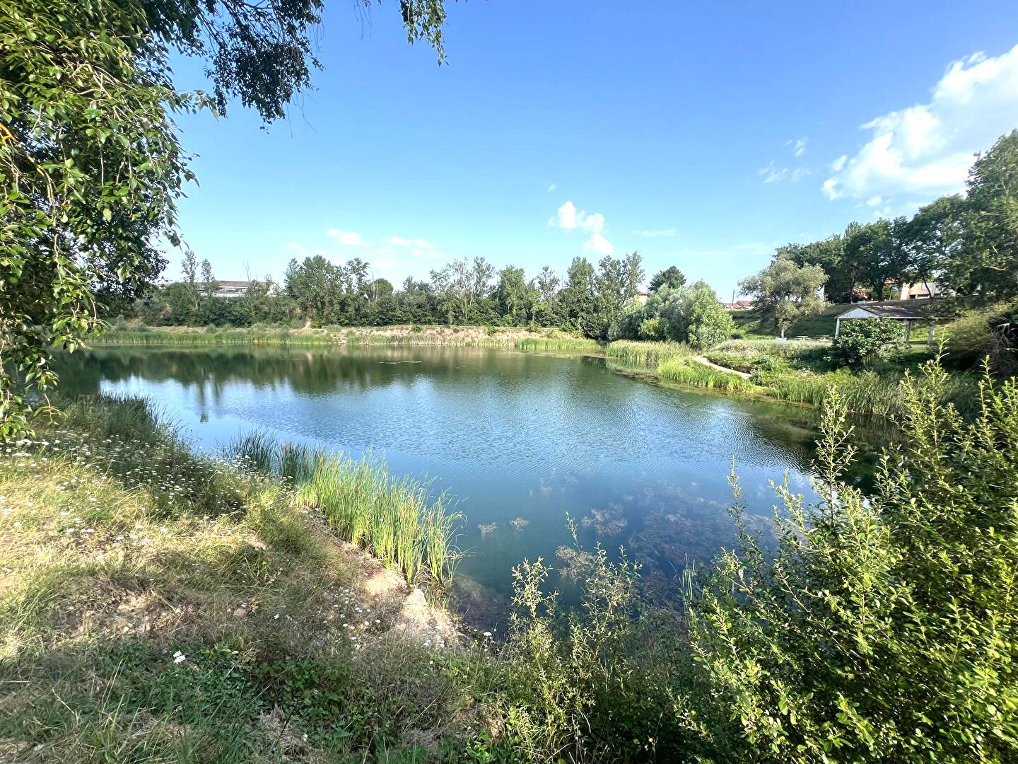 Photo Apt T3 RDJ 68m² avec jardin de 85m² image 3/6