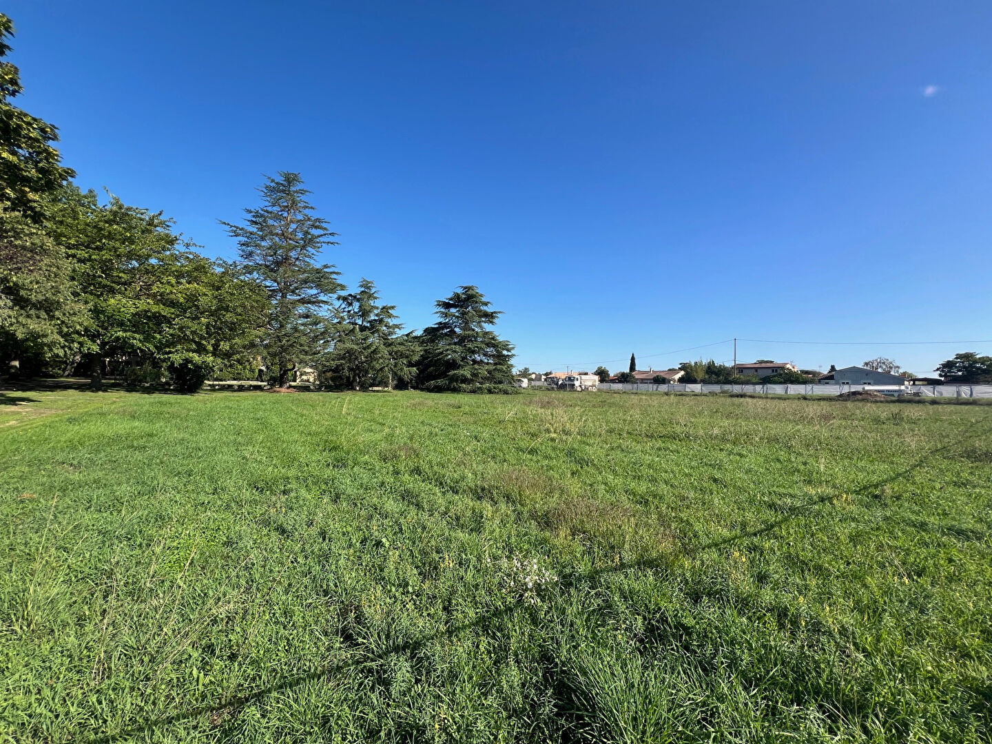 Photo Maison Tournefeuille 5 pièce(s) 116 m2 image 3/6