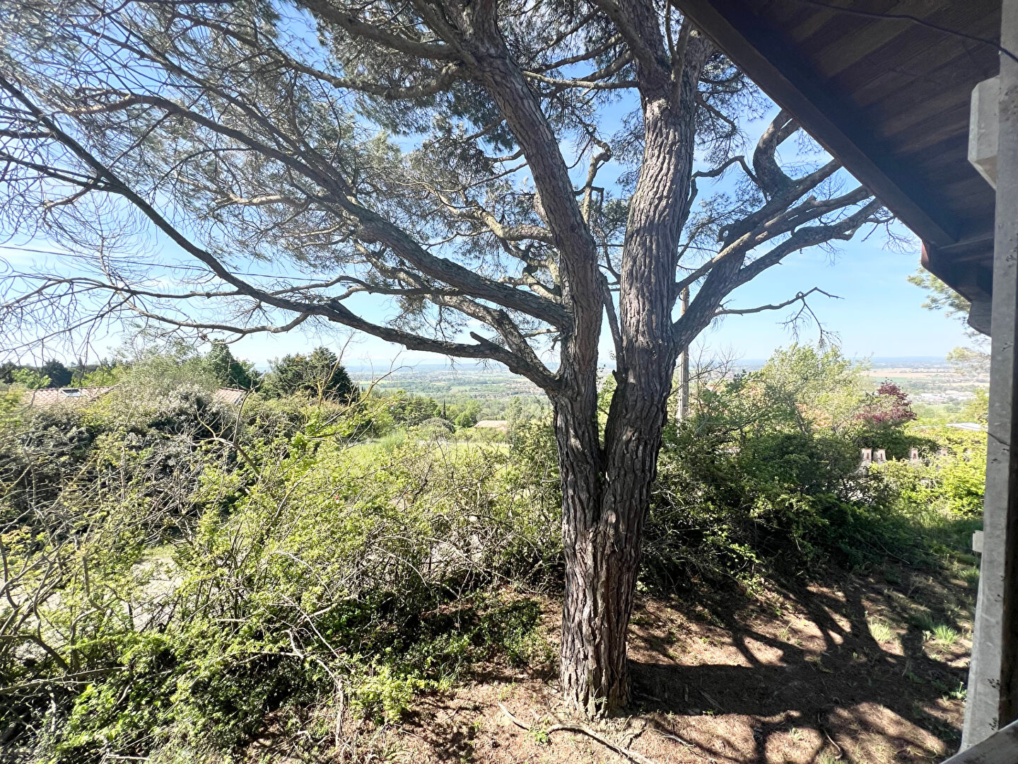 Photo Maison à Goyrans 6 pièces de 249 m² image 3/6