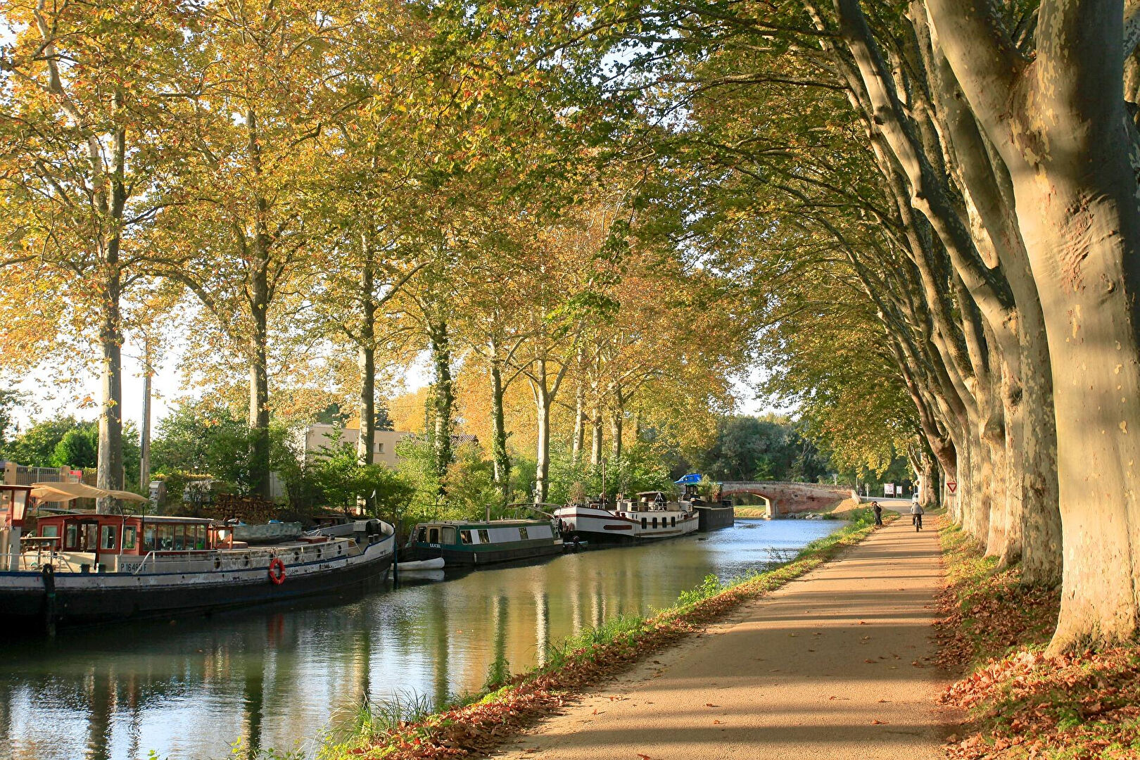 Agence immobilière de L'IMMOBILIERE DE RIQUET Toulouse