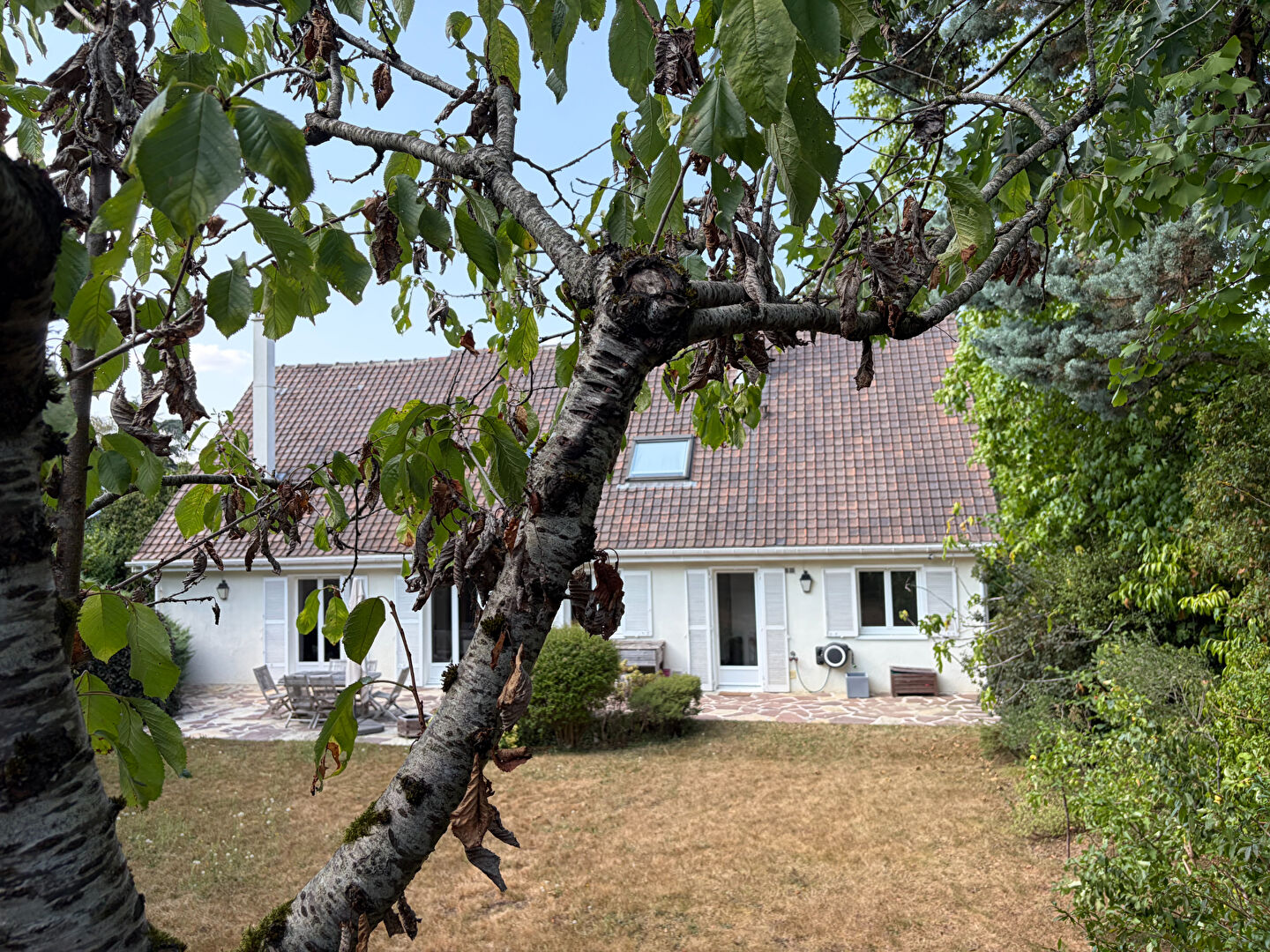 Agence immobilière de IBJ - L'IMMOBILIÈRE DE BUC ET DE JOUY - IBJ - L'Immobilière de Buc et de Jouy